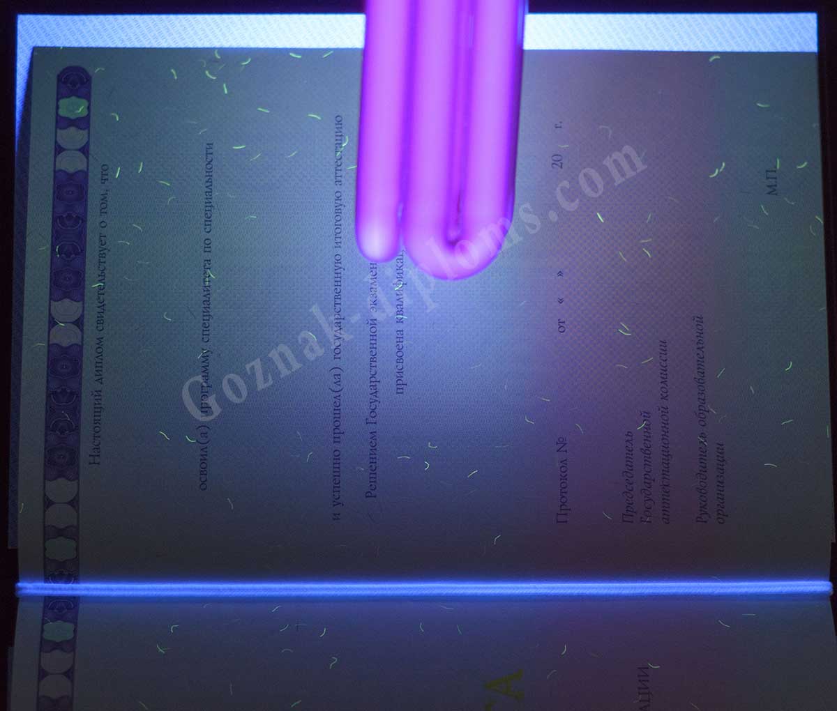 Диплом специалиста с ОТЛИЧИЕМ 2014-2025